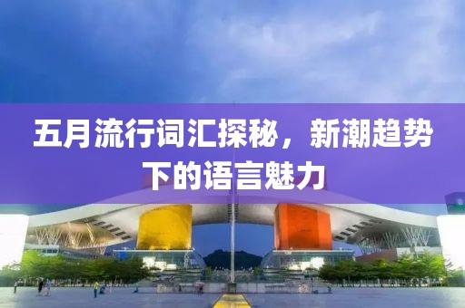 五月流行词汇探秘，新潮趋势下的语言魅力