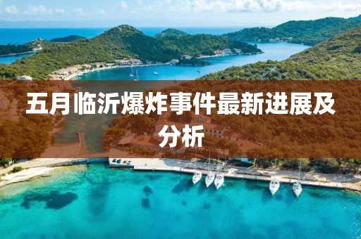 五月临沂爆炸事件最新进展及分析