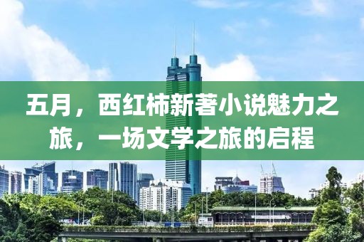 五月，西红柿新著小说魅力之旅，一场文学之旅的启程