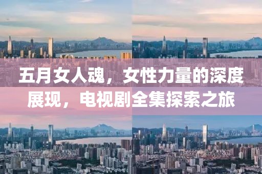 五月女人魂，女性力量的深度展现，电视剧全集探索之旅