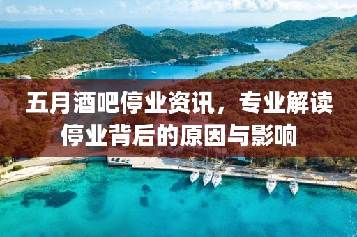 五月酒吧停业资讯，专业解读停业背后的原因与影响