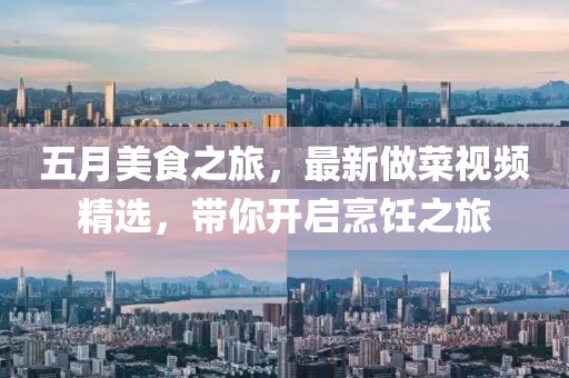 五月美食之旅，最新做菜视频精选，带你开启烹饪之旅