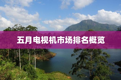 五月电视机市场排名概览