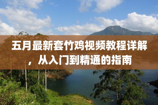 五月最新套竹鸡视频教程详解，从入门到精通的指南