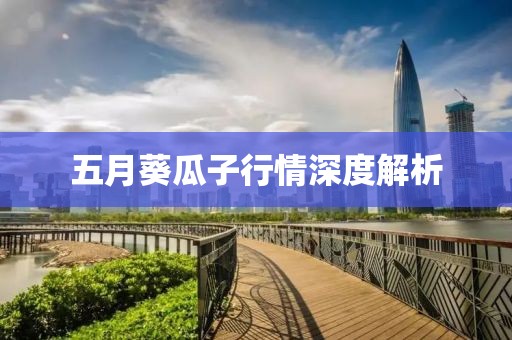五月葵瓜子行情深度解析