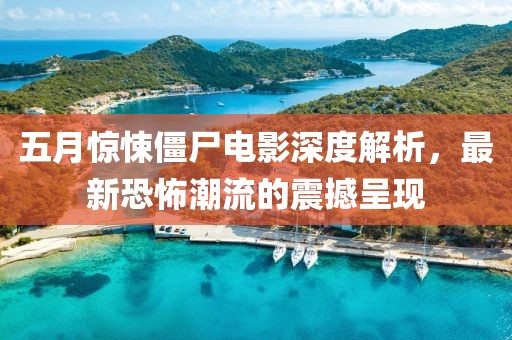 五月惊悚僵尸电影深度解析，最新恐怖潮流的震撼呈现