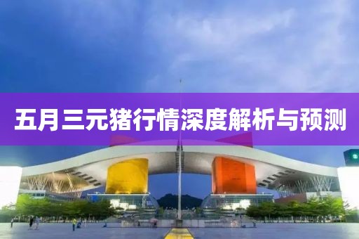 五月三元猪行情深度解析与预测