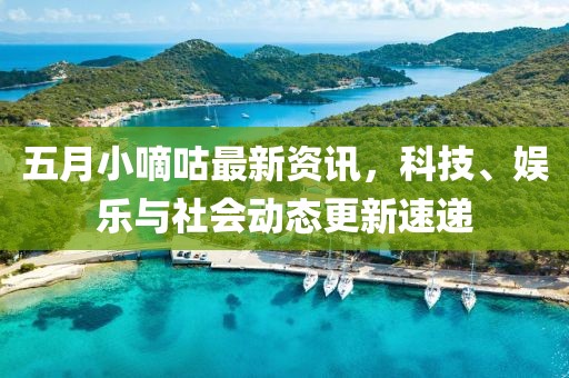 五月小嘀咕最新资讯，科技、娱乐与社会动态更新速递
