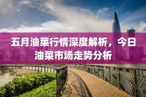 五月油菜行情深度解析，今日油菜市场走势分析