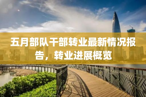 五月部队干部转业最新情况报告，转业进展概览