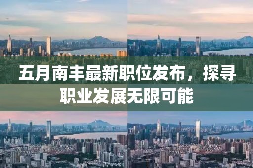 五月南丰最新职位发布，探寻职业发展无限可能