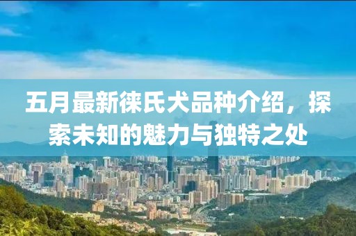 五月最新徕氏犬品种介绍，探索未知的魅力与独特之处