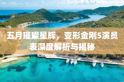 五月璀璨星辉，变形金刚5演员表深度解析与揭秘
