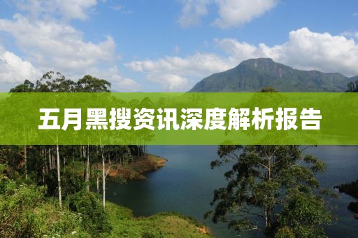 五月黑搜资讯深度解析报告