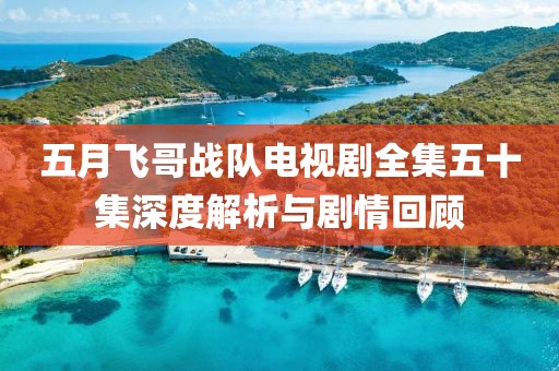 五月飞哥战队电视剧全集五十集深度解析与剧情回顾