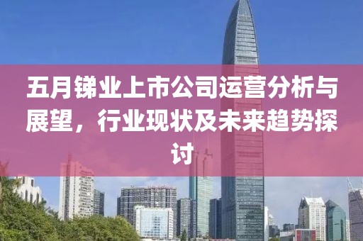 五月锑业上市公司运营分析与展望，行业现状及未来趋势探讨