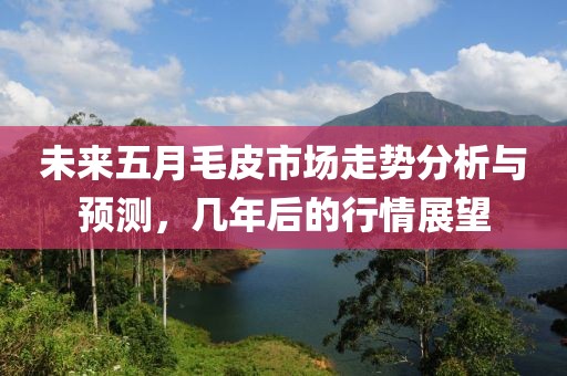 未来五月毛皮市场走势分析与预测，几年后的行情展望