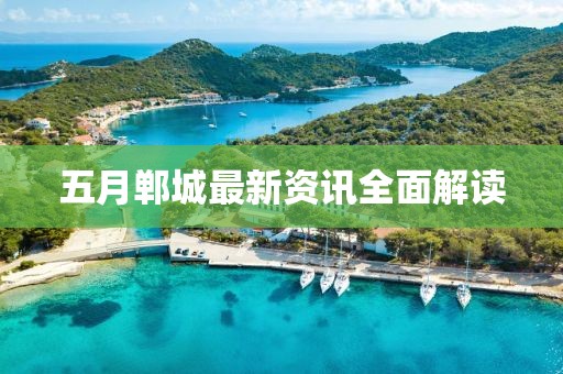 五月郸城最新资讯全面解读