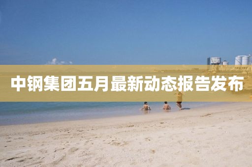 中钢集团五月最新动态报告发布
