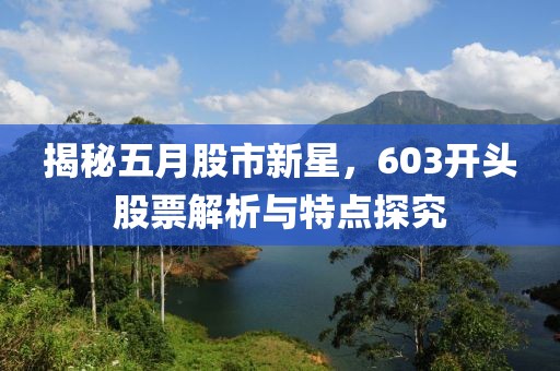 揭秘五月股市新星，603开头股票解析与特点探究