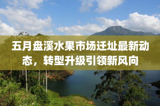 五月盘溪水果市场迁址最新动态，转型升级引领新风向