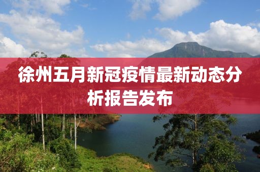 徐州五月新冠疫情最新动态分析报告发布