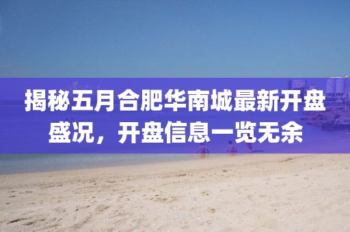 揭秘五月合肥华南城最新开盘盛况，开盘信息一览无余
