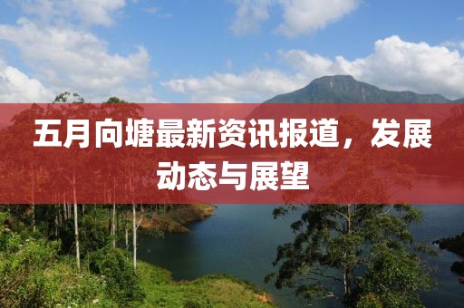 五月向塘最新资讯报道，发展动态与展望