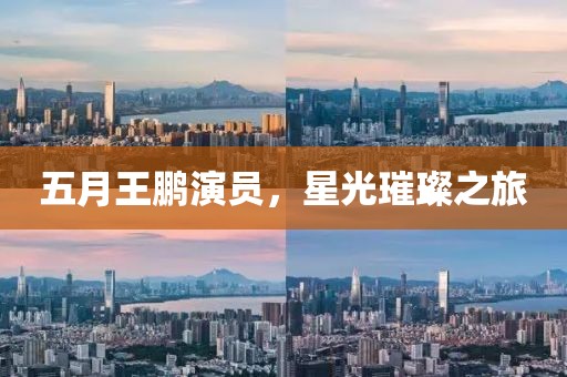 五月王鹏演员，星光璀璨之旅