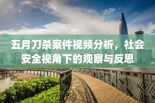 五月刀杀案件视频分析，社会安全视角下的观察与反思