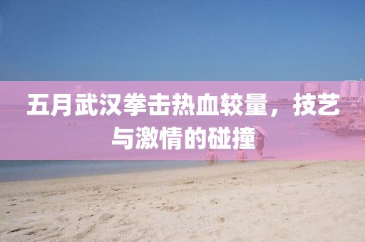 五月武汉拳击热血较量，技艺与激情的碰撞