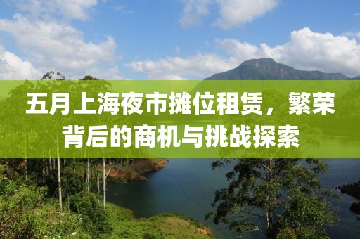 五月上海夜市摊位租赁，繁荣背后的商机与挑战探索
