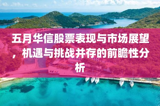 五月华信股票表现与市场展望，机遇与挑战并存的前瞻性分析
