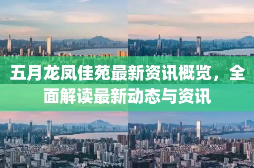 五月龙凤佳苑最新资讯概览，全面解读最新动态与资讯