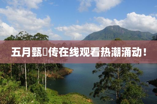 五月甄嬛传在线观看热潮涌动！
