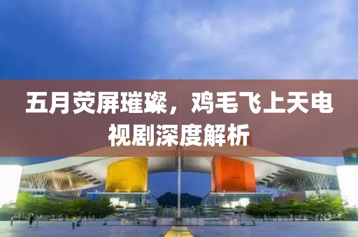 五月荧屏璀璨，鸡毛飞上天电视剧深度解析