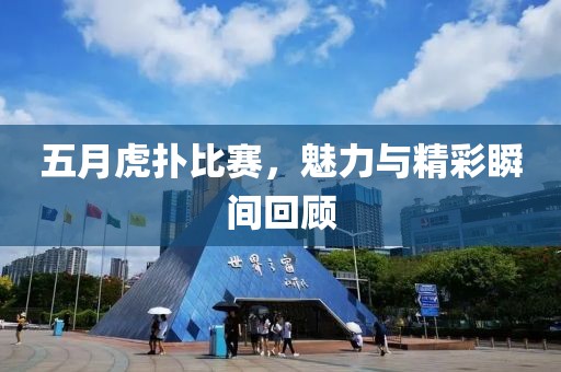 五月虎扑比赛，魅力与精彩瞬间回顾