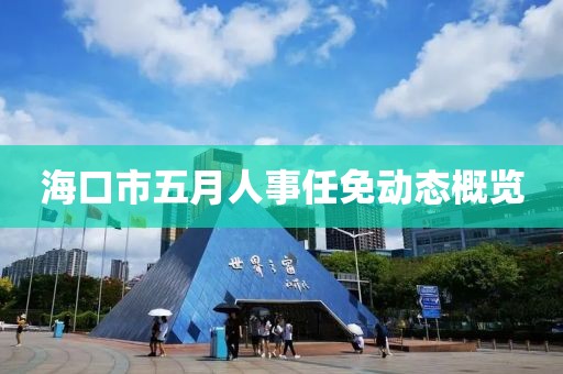海口市五月人事任免动态概览