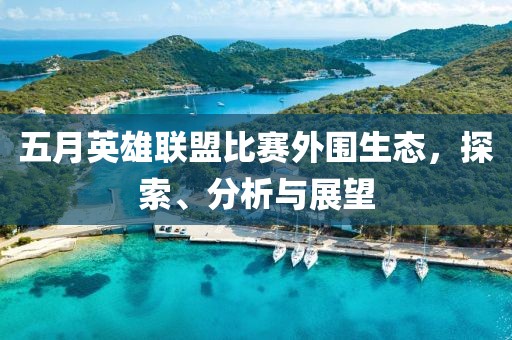 五月英雄联盟比赛外围生态，探索、分析与展望