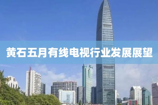 黄石五月有线电视行业发展展望