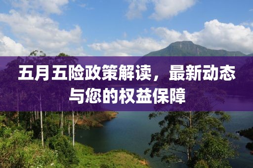 五月五险政策解读，最新动态与您的权益保障
