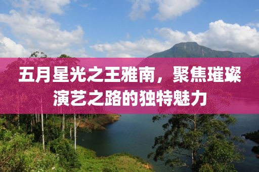 五月星光之王雅南，聚焦璀璨演艺之路的独特魅力