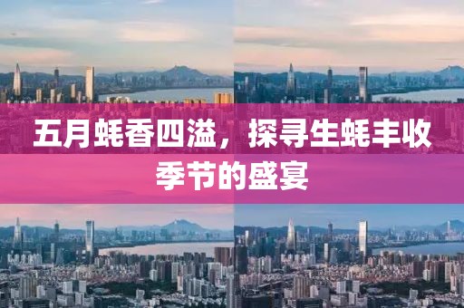 五月蚝香四溢，探寻生蚝丰收季节的盛宴