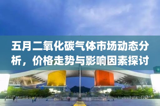 五月二氧化碳气体市场动态分析，价格走势与影响因素探讨
