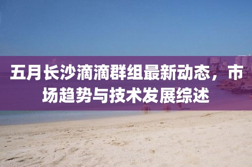 五月长沙滴滴群组最新动态，市场趋势与技术发展综述