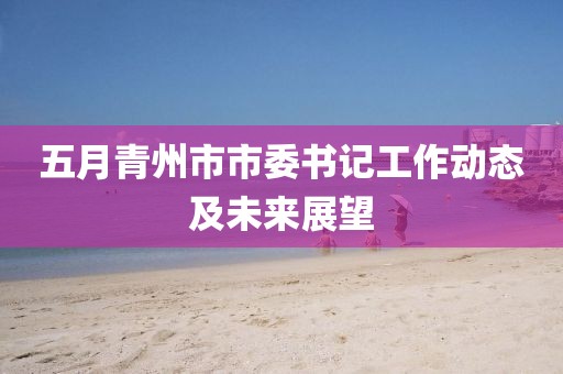 五月青州市市委书记工作动态及未来展望