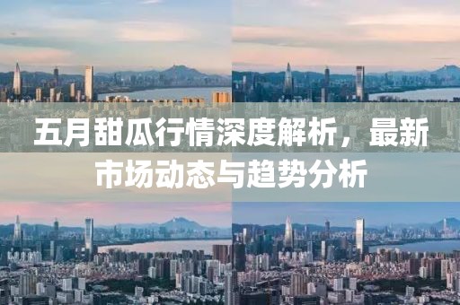 五月甜瓜行情深度解析，最新市场动态与趋势分析