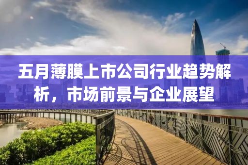 五月薄膜上市公司行业趋势解析，市场前景与企业展望