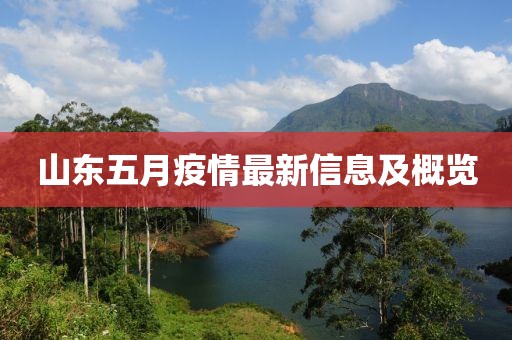 山东五月疫情最新信息及概览