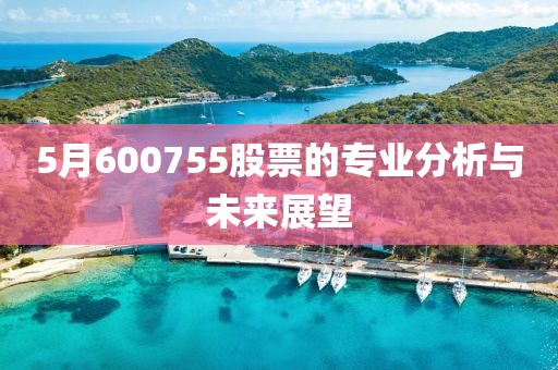 5月600755股票的专业分析与未来展望